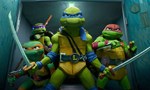 Voir la critique de Les Tortues Ninja : Ninja Turtles : Teenage Years #1 [2023]